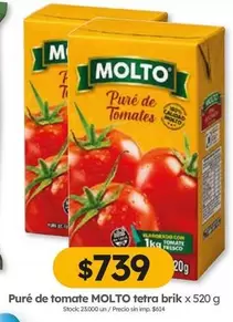 Molto - Puré de Tomate