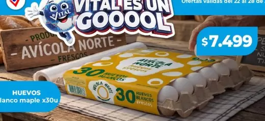 Vital - Huevos Blancos