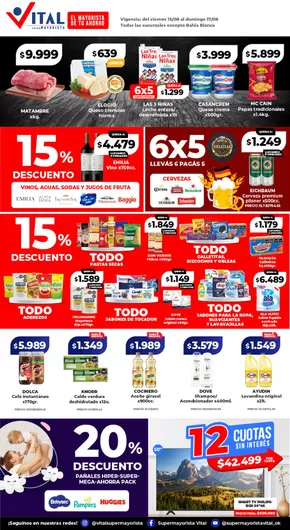 Catálogo Supermayorista Vital en Neuquén | Nuevas ofertas para descubrir | 2025-08-15T00:00:00.000Z - 2025-08-17T00:00:00.000Z