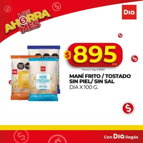 Catálogo Supermercados DIA en Buenos Aires | Ofertas especiales para ti | 2025-08-26T00:00:00.000Z - 2025-09-09T00:00:00.000Z