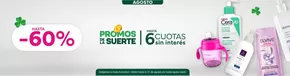 Catálogo Farmacias Líder en Paraná | Hasta -60% | 2025-08-26T00:00:00.000Z - 2025-08-31T00:00:00.000Z
