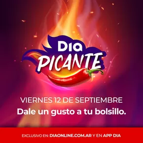 Catálogo Supermercados DIA en Ituzaingó (Buenos Aires) | Excelente oferta para todos los clientes | 2025-09-14T00:00:00.000Z - 2025-09-28T00:00:00.000Z