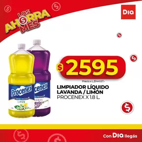 Catálogo Supermercados DIA en General Pacheco | Excelente oferta para todos los clientes | 2025-09-23T00:00:00.000Z - 2025-10-07T00:00:00.000Z