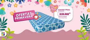 Ofertas Primavera