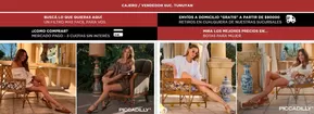 Catálogo Calzados Salamone en Posadas | Promoción! | 2025-10-08T00:00:00.000Z - 2025-10-29T00:00:00.000Z
