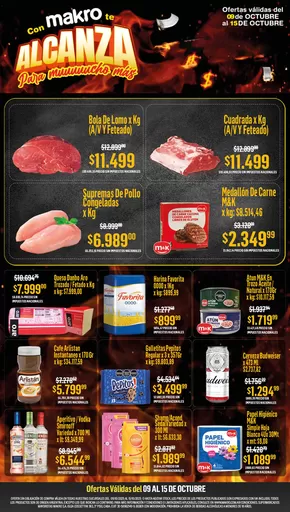 Catálogo Makro en San Salvador (Jujuy) | Ofertas semanales | 2025-10-09T00:00:00.000Z - 2025-10-15T00:00:00.000Z