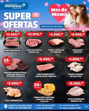 Catálogo Supermercados Damesco en Salta | Ofertas Supermercados Damesco | 2025-10-10T00:00:00.000Z - 2025-10-24T00:00:00.000Z