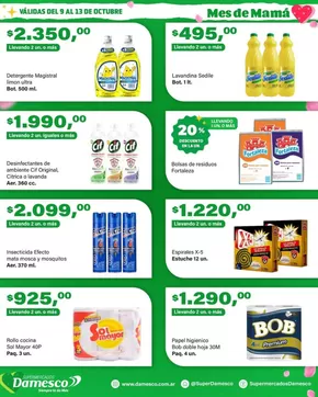 Catálogo Supermercados Damesco en Salta | Ofertas y gangas exclusivas | 2025-10-10T00:00:00.000Z - 2025-10-24T00:00:00.000Z