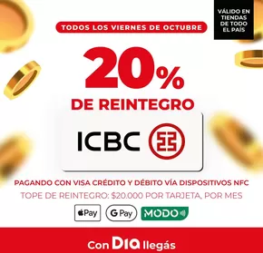 Catálogo Supermercados DIA en Arrecifes | Ofertas Supermercados DIA | 2025-10-11T00:00:00.000Z - 2025-10-25T00:00:00.000Z