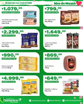 Catálogo Supermercados Damesco en Salta | Ofertas y promociones actuales | 2025-10-13T00:00:00.000Z - 2025-10-27T00:00:00.000Z