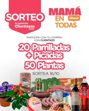 Catálogo Super Alvear en Santa Fe | Ofertas Super Alvear | 2025-10-15T00:00:00.000Z - 2025-10-29T00:00:00.000Z