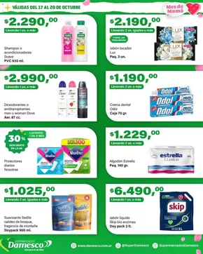 Catálogo Supermercados Damesco en Salta | Grandes descuentos en productos seleccionados | 2025-10-18T00:00:00.000Z - 2025-11-01T00:00:00.000Z