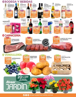 Catálogo Super Alvear en Resistencia | Excelente oferta para cazadores de gangas | 2025-10-25T00:00:00.000Z - 2025-11-08T00:00:00.000Z