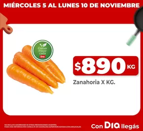 Catálogo Supermercados DIA en Trenque Lauquen | Ofertas exclusivas para nuestros clientes | 2025-11-05T00:00:00.000Z - 2025-11-10T00:00:00.000Z