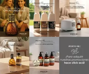 Catálogo Perfvmvm Bue | Promoción! | 2025-11-06T00:00:00.000Z - 2025-11-17T00:00:00.000Z