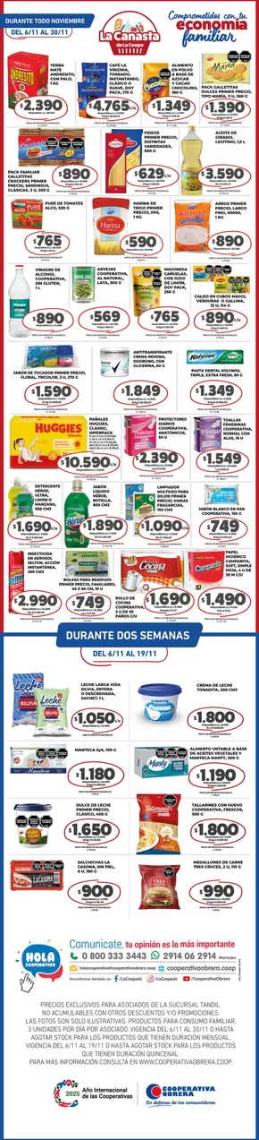 Catálogo Cooperativa Obrera en San Nicolás de los Arroyos | canasta TANDIL-06112025 | 2025-11-06T00:00:00.000Z - 2025-11-30T00:00:00.000Z