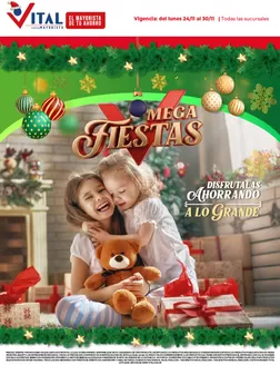 Catálogo Supermayorista Vital | Especial Navidad | | 2025-11-24T00:00:00.000Z - 2025-11-30T00:00:00.000Z