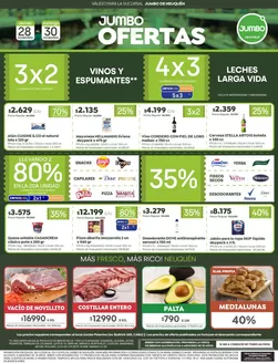 Catálogo Jumbo | Ofertas | Neuquén | 2025-11-28T00:00:00.000Z - 2025-11-30T00:00:00.000Z