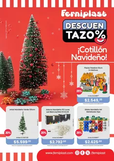 Catálogo Ferniplast en Junín (Buenos Aires) | Catálogo Ferniplast | 2025-11-27T00:00:00.000Z - 2025-12-10T00:00:00.000Z