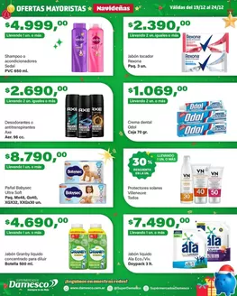 Catálogo Supermercados Damesco en Lincoln | Descubre ofertas atractivas | 2025-12-19T00:00:00.000Z - 2025-12-24T00:00:00.000Z