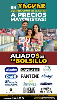 Catálogo Supermercados Yaguar en Ingeniero Maschwitz | Aliados de tu Bolsillo compressed 1 | 2025-12-29T00:00:00.000Z - 2026-01-04T00:00:00.000Z