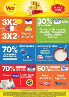 Catálogo Supermercados Vea | Oferta fin de semana Nea | 2026-01-09T00:00:00.000Z - 2026-01-11T00:00:00.000Z