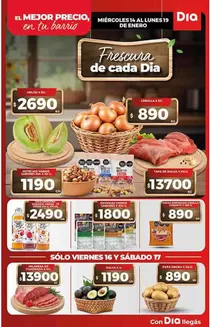 Catálogo Supermercados DIA | Grandes descuentos en productos seleccionados | 2026-01-14T00:00:00.000Z - 2026-01-19T00:00:00.000Z