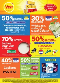 Catálogo Supermercados Vea | Ofertas fin de semana | Córdoba | 2026-01-16T00:00:00.000Z - 2026-01-18T00:00:00.000Z