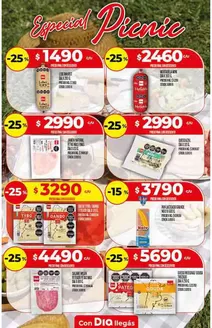 Catálogo Supermercados DIA | Ofertas exclusivas para nuestros clientes | 2026-01-21T00:00:00.000Z - 2026-02-04T00:00:00.000Z