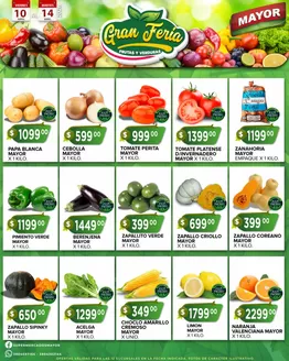 Catálogo Supermercados Mayor | Ofertas y promociones actuales | 2026-04-10T00:00:00.000Z - 2026-04-14T00:00:00.000Z