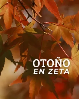 Catálogo Supermercados Zeta | Ofertas Supermercados Zeta | 2026-09-01T00:00:00.000Z - 2026-11-30T00:00:00.000Z