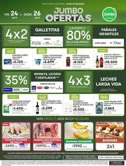Catálogo Jumbo | Ofertas | Neuquén | 2026-04-24T00:00:00.000Z - 2026-04-26T00:00:00.000Z
