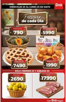 Catálogo Supermercados DIA en Vicente López | Ofertas y promociones actuales | 2026-05-20T00:00:00.000Z - 2026-05-25T00:00:00.000Z