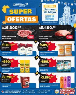 Catálogo Supermercados Damesco en Vicente López | Ofertas minoristas 21 al 27 05 | 2026-05-21T00:00:00.000Z - 2026-05-27T00:00:00.000Z