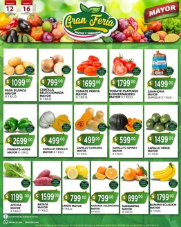 Catálogo Supermercados Mayor | Ofertas principales y descuentos | 2026-06-12T00:00:00.000Z - 2026-06-16T00:00:00.000Z