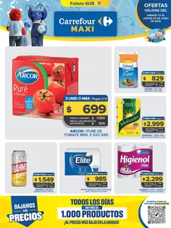 Catálogo Carrefour Maxi en Ezpeleta | Carrefour Maxi 13 Junio | 2026-06-13T00:00:00.000Z - 2026-06-19T00:00:00.000Z