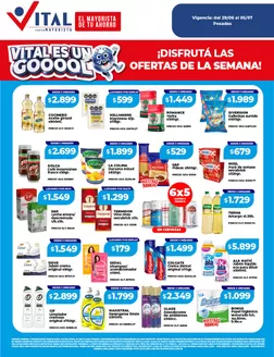 Catálogo Supermayorista Vital | Descubre ofertas atractivas | 2026-06-29T00:00:00.000Z - 2026-07-05T00:00:00.000Z
