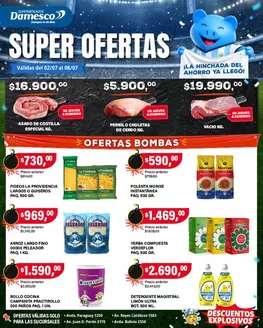 Catálogo Supermercados Damesco en San Martín | Ofertas minoristas 2 al 8 07 | 2026-07-02T00:00:00.000Z - 2026-07-08T00:00:00.000Z