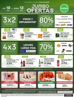 Catálogo Jumbo | Ofertas | Neuquén | 2026-07-10T00:00:00.000Z - 2026-07-12T00:00:00.000Z
