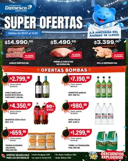 Catálogo Supermercados Damesco en Villa Ballester | Ofertas minoristas 9 al 15 07 | 2026-07-09T00:00:00.000Z - 2026-07-15T00:00:00.000Z
