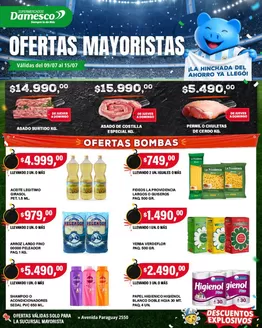 Catálogo Supermercados Damesco en Villa Ballester | Ofertas mayorista 9 al 15 07 | 2026-07-09T00:00:00.000Z - 2026-07-15T00:00:00.000Z