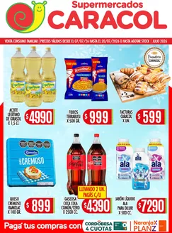 Catálogo Supermercados Caracol | C276664ad17fd343cce27a55a0eb355db353efe0 | 2026-07-07T00:00:00.000Z - 2026-07-20T00:00:00.000Z