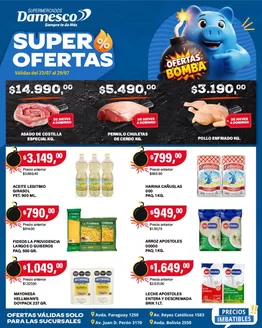 Catálogo Supermercados Damesco en Villa Carlos Paz | Ofertas minoristas 23 al 29 07 1 | 2026-07-23T00:00:00.000Z - 2026-07-29T00:00:00.000Z