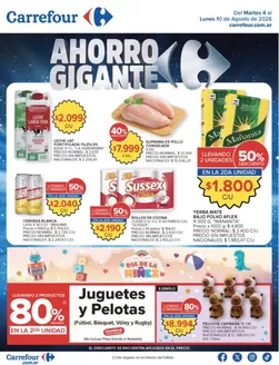 Catálogo Carrefour | Carrefour Hiper 04 Agosto | 2026-08-04T00:00:00.000Z - 2026-08-11T00:00:00.000Z