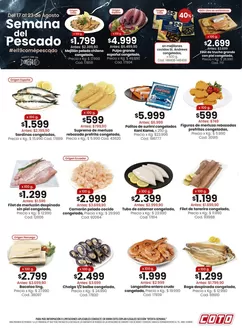 Catálogo Coto | Coto Semanadel Pescado | 2026-08-17T00:00:00.000Z - 2026-08-23T00:00:00.000Z
