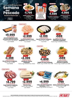 Catálogo Coto | Coto Semanadel Pescado | 2026-09-14T00:00:00.000Z - 2026-09-20T00:00:00.000Z
