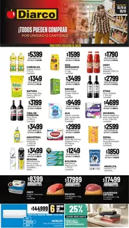 Catálogo Diarco | OFERTAS SUR | 2026-10-05T00:00:00.000Z - 2026-10-09T00:00:00.000Z