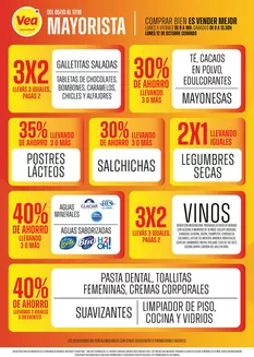 Catálogo Supermercados Vea en Villa Ballester | Vea Mayorista Mendoza | 2026-10-05T00:00:00.000Z - 2026-10-17T00:00:00.000Z
