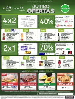 Catálogo Jumbo en Gobernador Crespo | Ofertas Córdoba | 2026-10-08T00:00:00.000Z - 2026-10-11T00:00:00.000Z