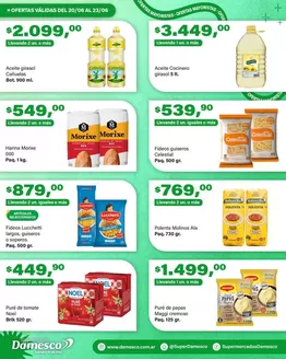 Catálogo Supermercados Damesco en Salta | Nuestras mejores ofertas para ti | 2026-06-20T00:00:00.000Z - 2026-06-23T00:00:00.000Z